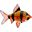 Interaquaristik Logo