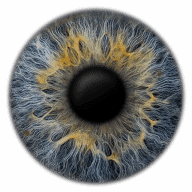 Iris Fotografie Logo
