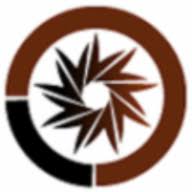 www.italgam.it/de Logo