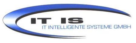 IT - Intelligente Systeme GmbH Logo