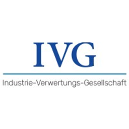 ivg.auction Logo
