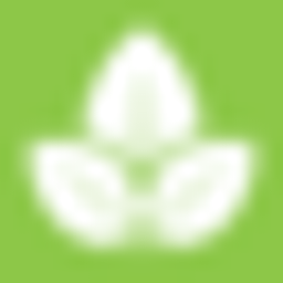 Jeanine Kien Logo