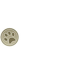 Jiteshop Logo