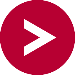 Vector Informatik GmbH Logo