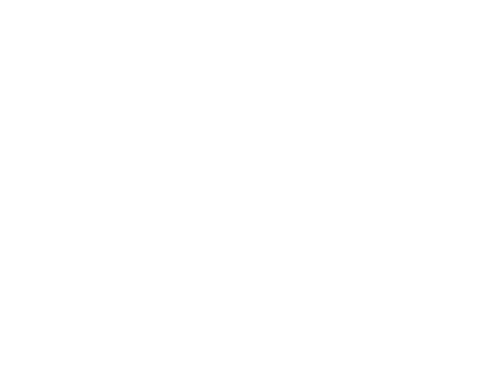 Unternehmensberatung Schiele Logo