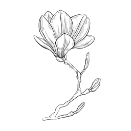 Logopädie Ines Jopp Logo