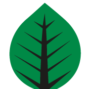 Kaffl Martin Die besondere Baumschule Logo