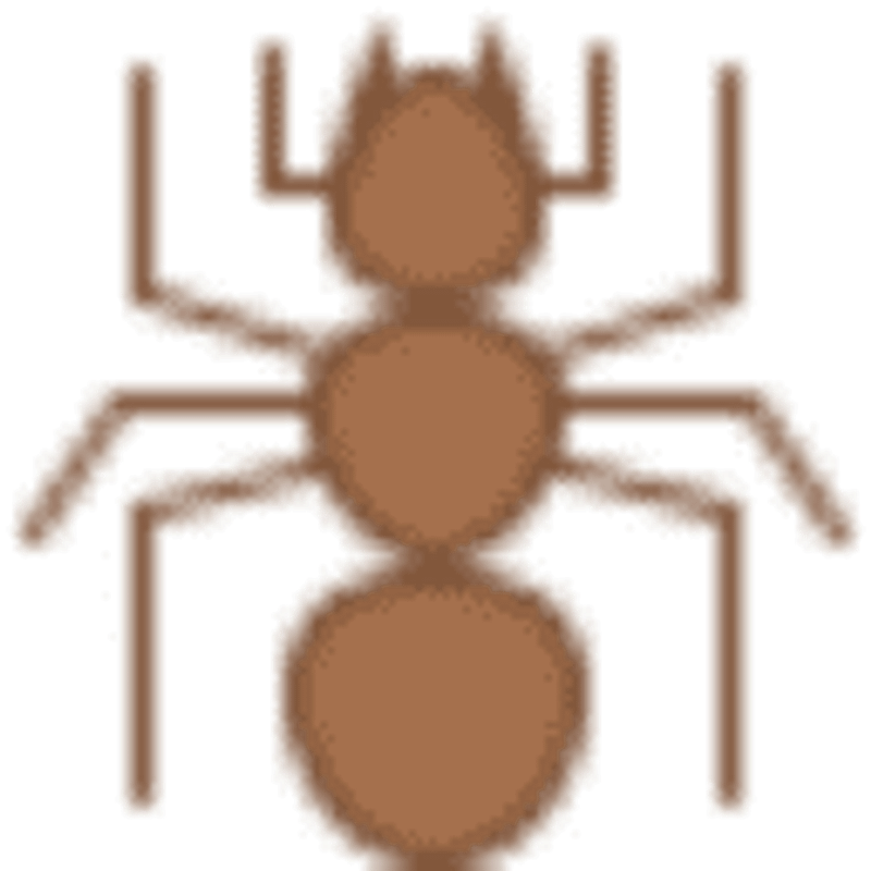 Kammerjaeger Bauer Logo