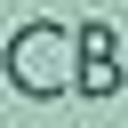 Czajor-Baumgartner-Coll. Logo