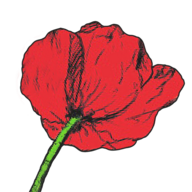 Keimzeit Versand Logo