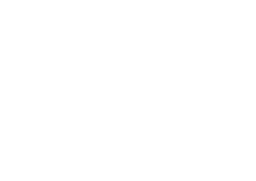 KFS Heidelberg Krankenfahrten & Flughafentransfer Sturm Logo