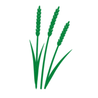 Zur Gärtnerruh Kleingärtnerverein Ost e.V. Logo