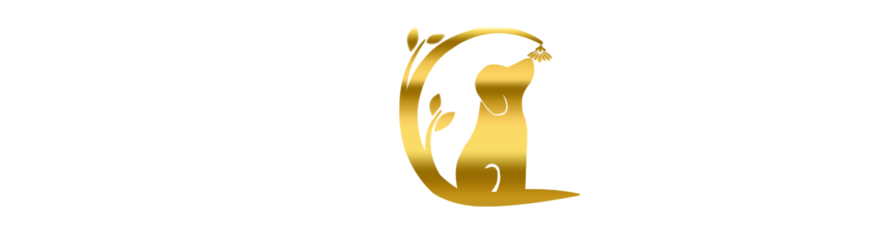 king-canis.de Logo