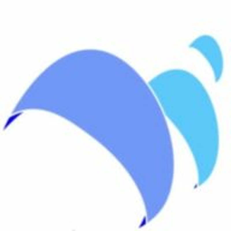 Palm-Kite School & Verleih & Online-Shop Berlin Logo