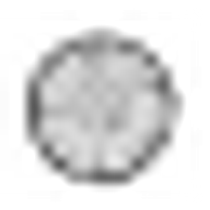 Casciaro Gina Kinder- und Jugendlichenpsychotherapeutin Logo