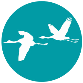Klassische Chinesische Medizin & Integrative Naturheilverfahren - Dr. med. Jens Meyer Logo
