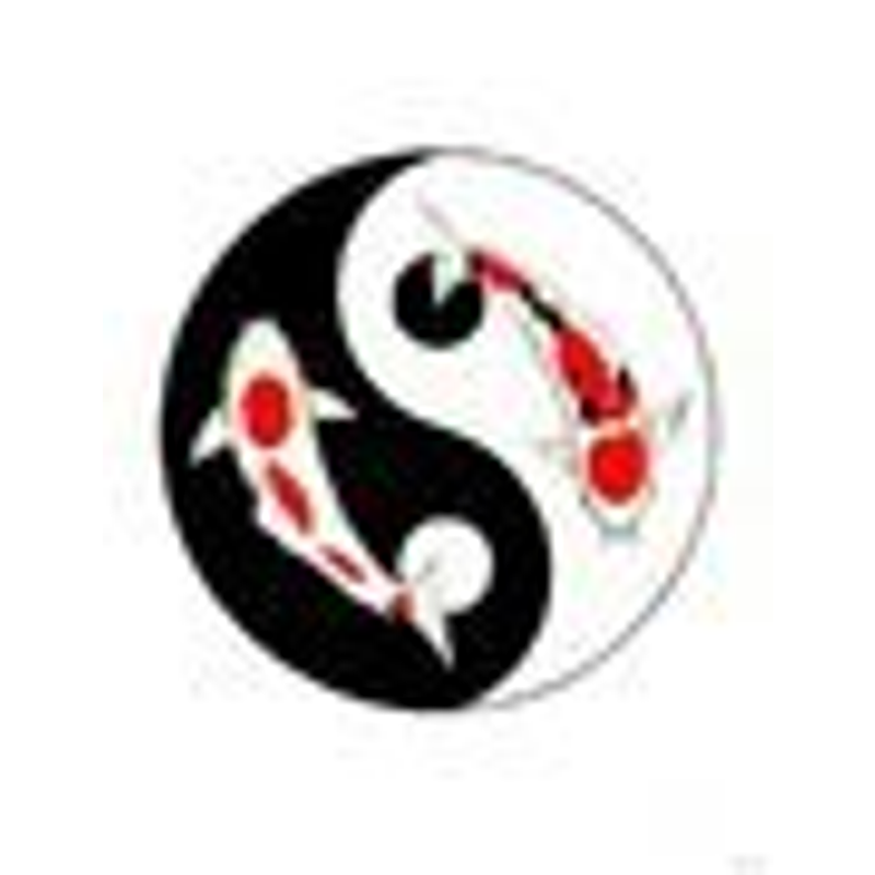 Koi Teich24 Logo