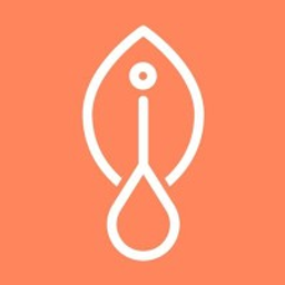 Kora Mikino Periodenunterwäsche Logo