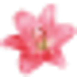 Kosmetikstudio Dana Logo