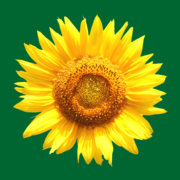 kräuterhaus.de Logo