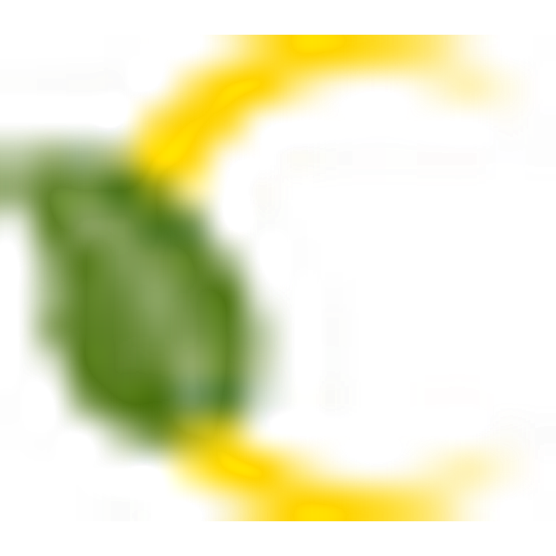 Kraeuteria Blattwerk Logo