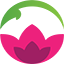 Kwiatowa Przesyłka Logo