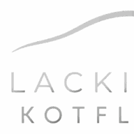 Lackiertekotflugel Logo