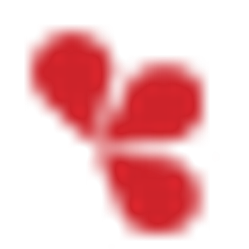 Lady Comp France Logo