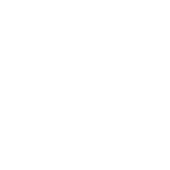 Lamminger Johann Logo