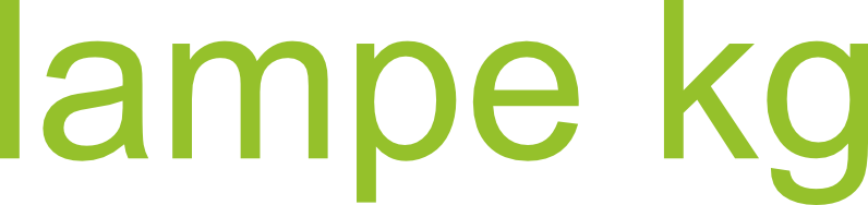Lampe GmbH & Co. KG Fußbodencenter Logo