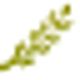 Zur Oase Logo