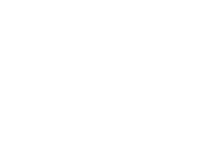 Lang Immobilien GmbH Immobilien Logo