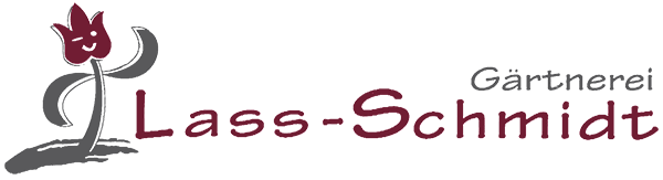 Schmidt Martin Logo