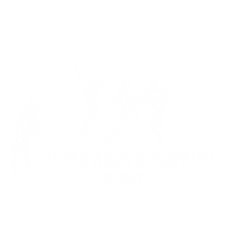 Laufcoach Stefan Heinrichsmeier Logo