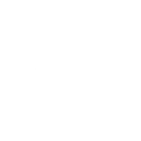 Leoninestudios Logo