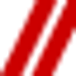 LGS Leder Gummi Studio Logo