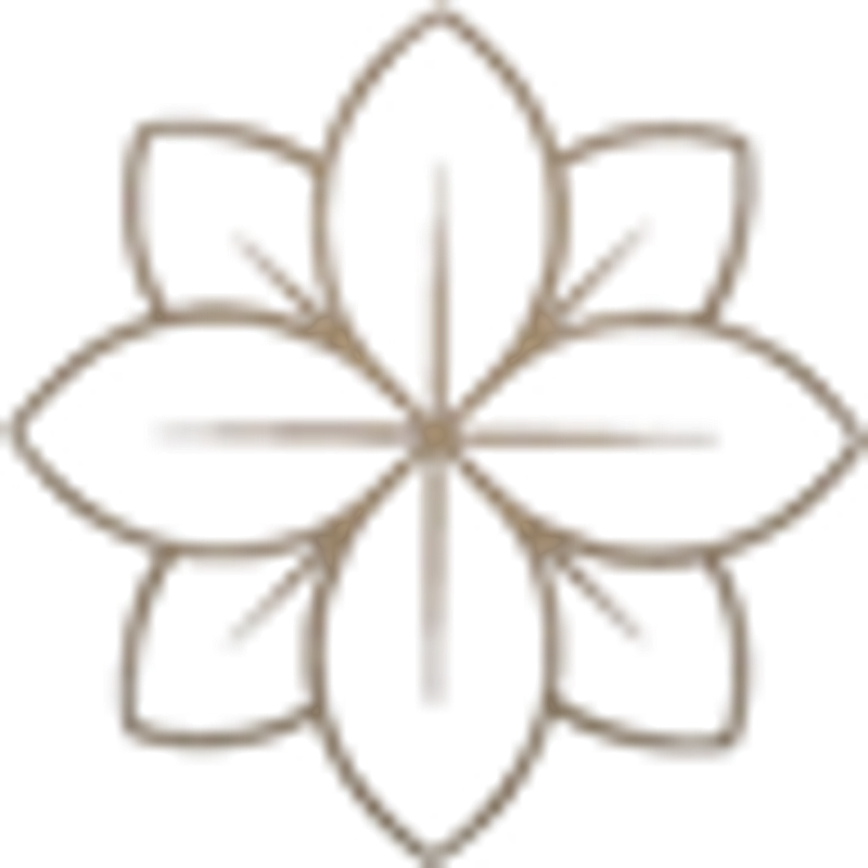 Lianakadabra Logo