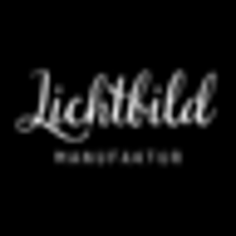 Lichtbild Logo