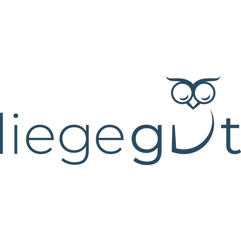 liegegut Logo