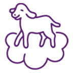 lilalaemmchen-shop.de Logo