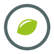 LIMESODA Logo