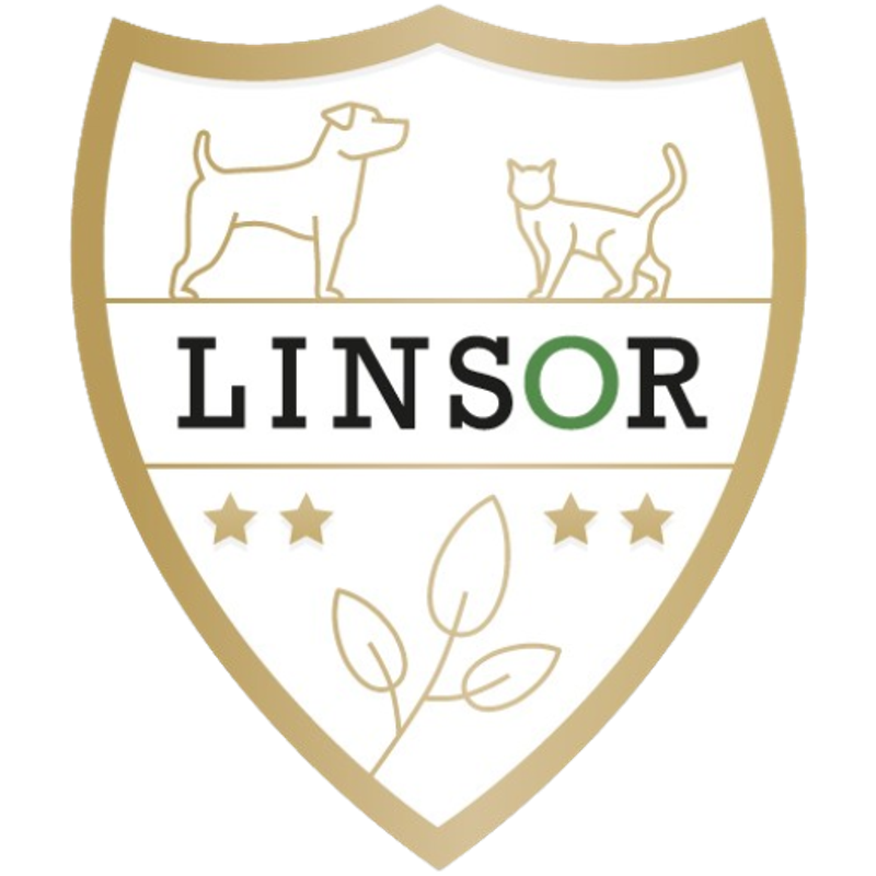 Linsor GmbH Logo