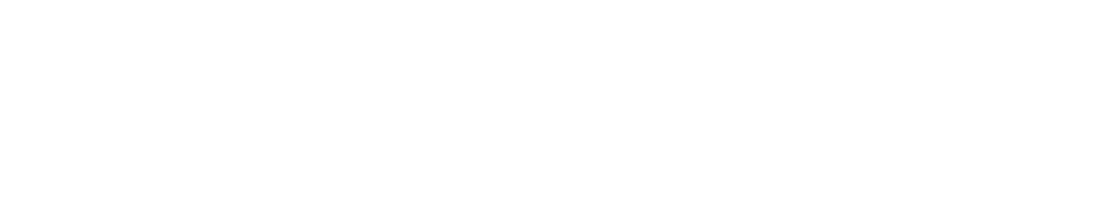 lion-spirits.de Logo