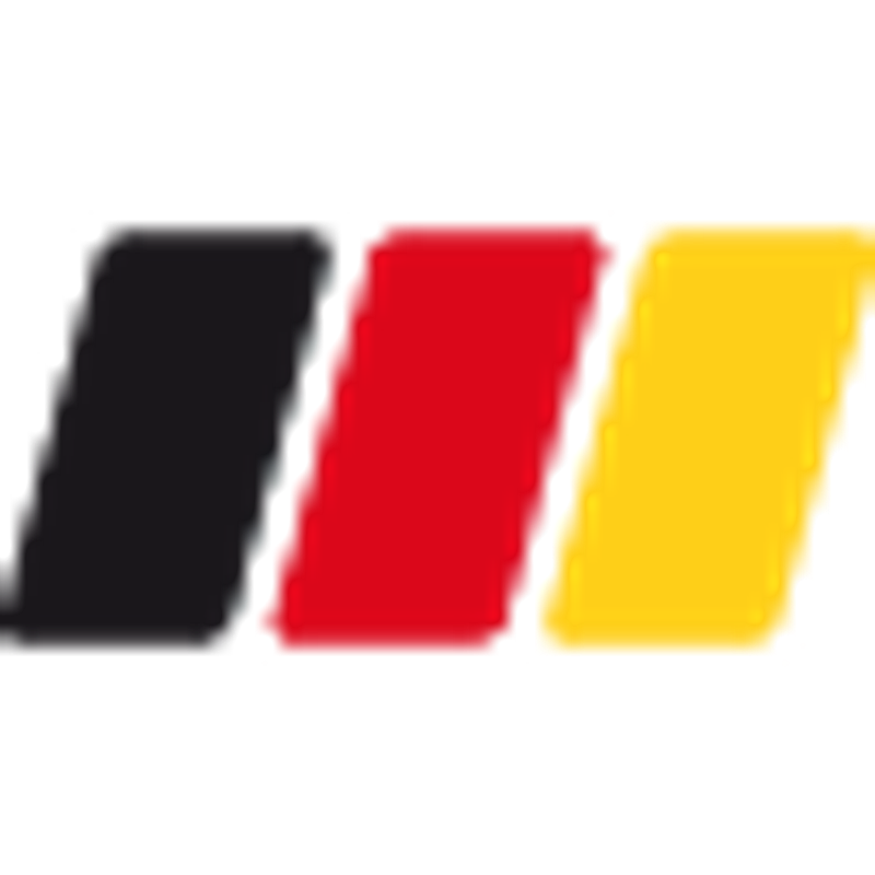 Litex Logo