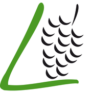 Weingut Löwensteinhof Weingut Logo