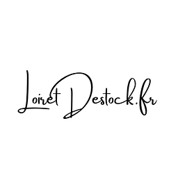 Loiretdestock Logo