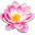 Ambulanter Pflegedienst Lotus Logo