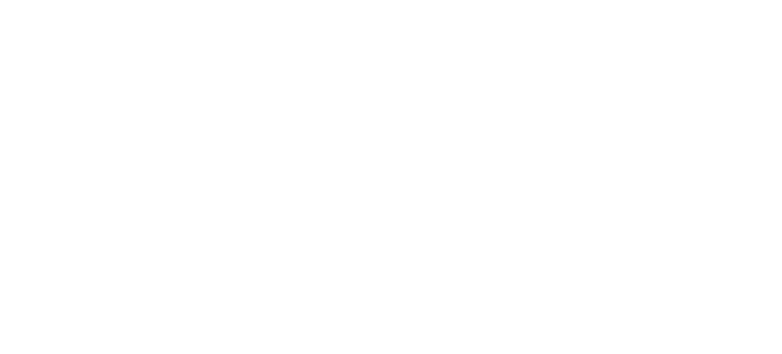 LSG Lippstädter Service Gesellschaft mbH i. G. Logo