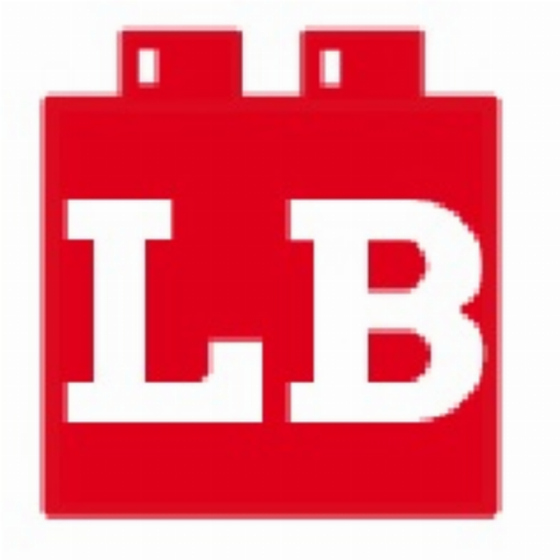 Lucky Bricks Logo