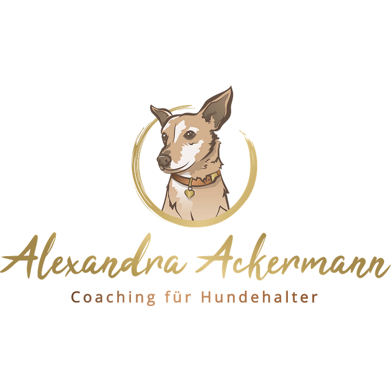 Lucky Teams - Glücklich mit Hund Logo